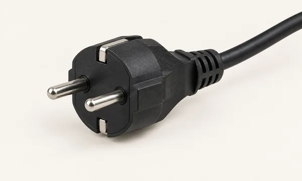 Type F plug illustration with two round pins and side earth contacts.